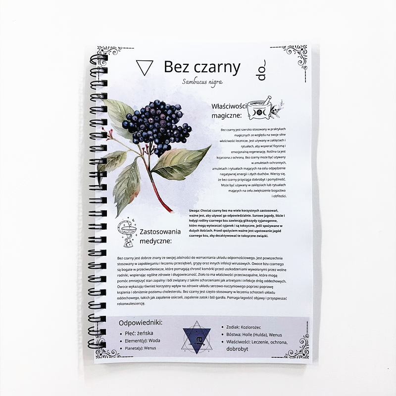 The Lost Book of Herbal Remedi - Herbal Wellness Remedy のレビューと価格
