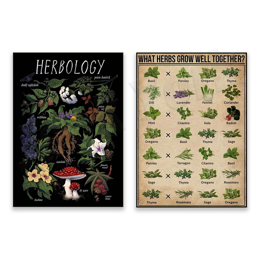 What herbs grow well together? - Herbal Gardens Wellness のレビューと価格