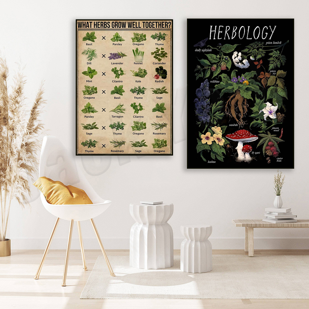 What herbs grow well together? - Herbal Gardens Wellness のレビューと価格