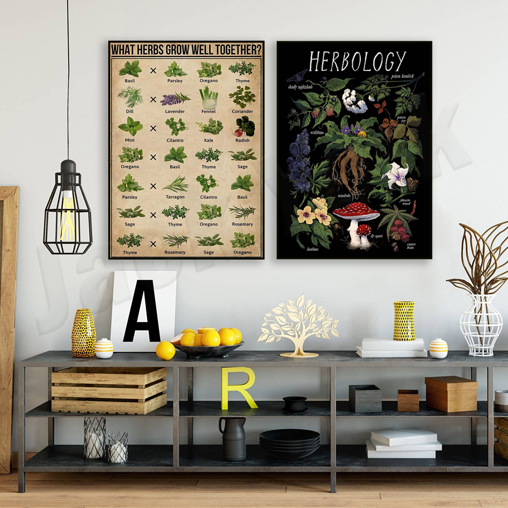 What herbs grow well together? - Herbal Gardens Wellness のレビューと価格