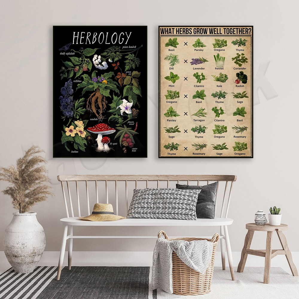 What herbs grow well together? - Herbal Gardens Wellness のレビューと価格