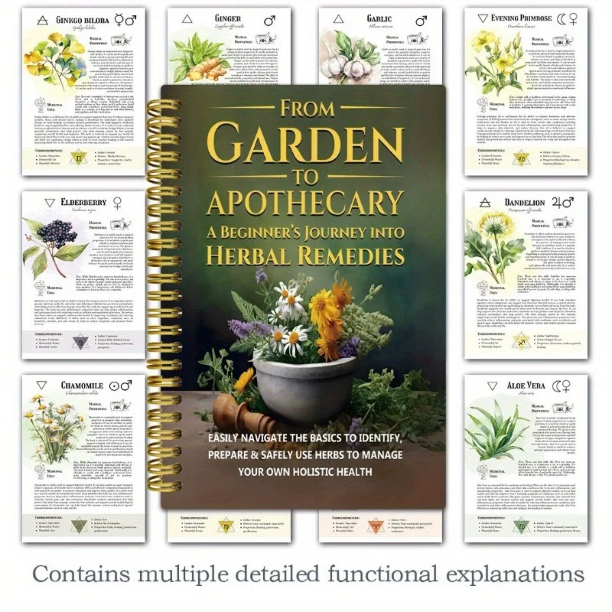 From Garden To Apothecary A Be - Herbal Gardens Wellness のレビューと価格