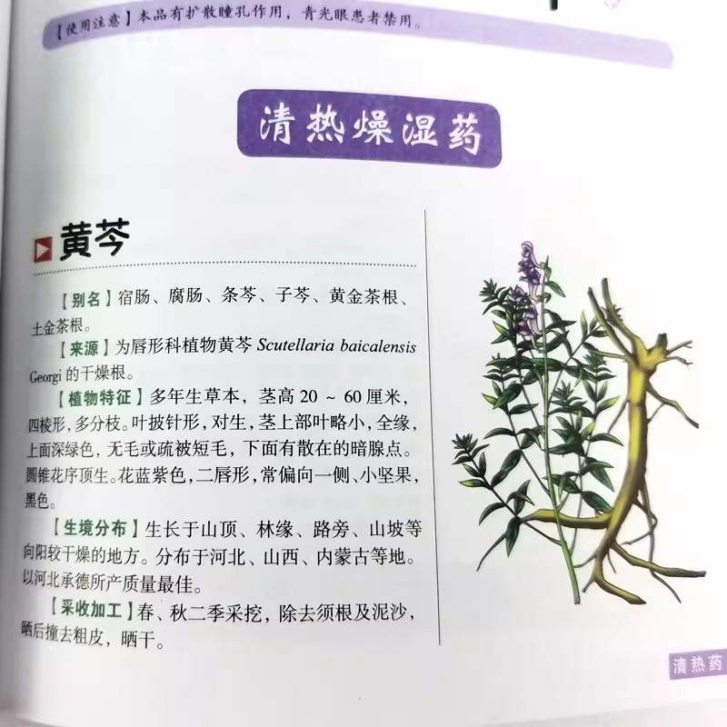The Ancient Herbarium Holistic - Herbal Holistic Wellness のレビューと価格