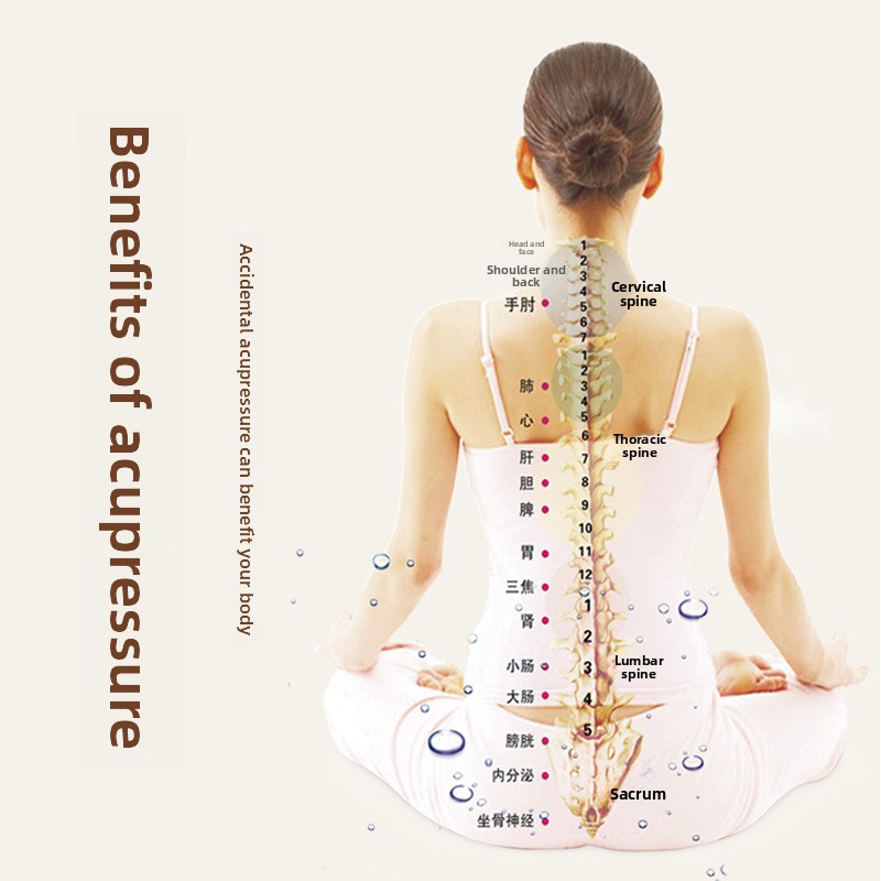 Silk Handheld Herbal Hammer fo - Herbal Wellness Massage のレビューと価格
